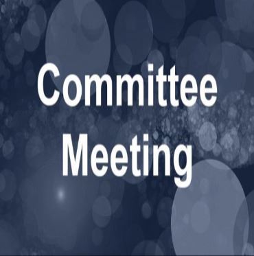 Committee Meeting